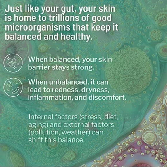 Dr. Brandt Cool Biotic Prebiotic Cream - Picture 3 of 5